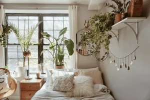 Plants in dorm room